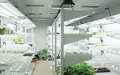 ধ্রুবক তাপমাত্রা এবং নিয়ন্ত্রণ পরিকল্পনা সহ পরীক্ষাগার